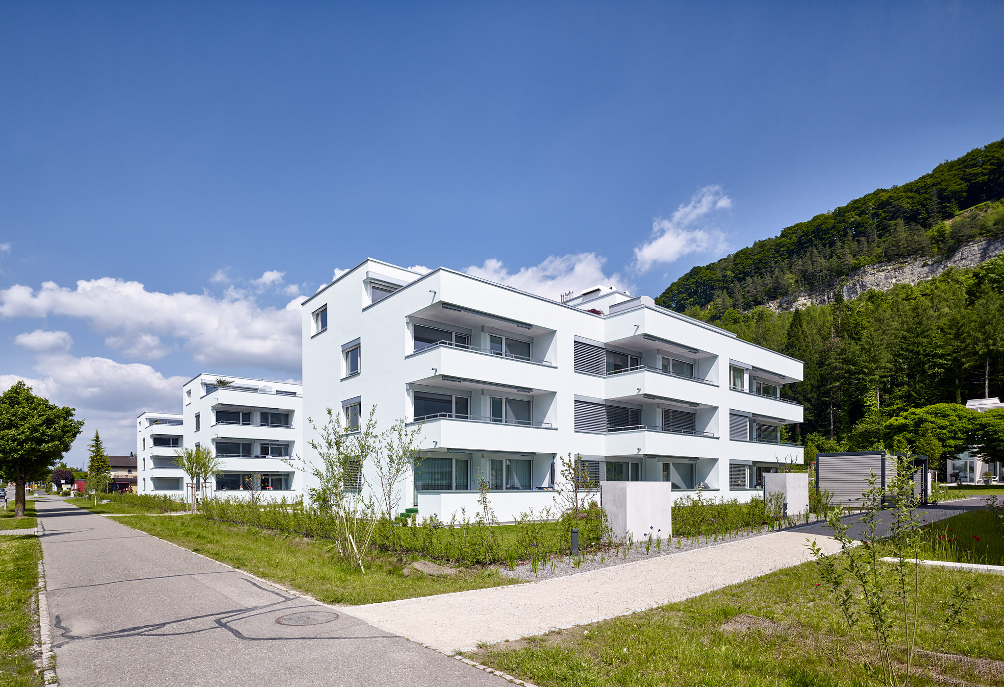 E15551 Alpa 051148p SCREEN